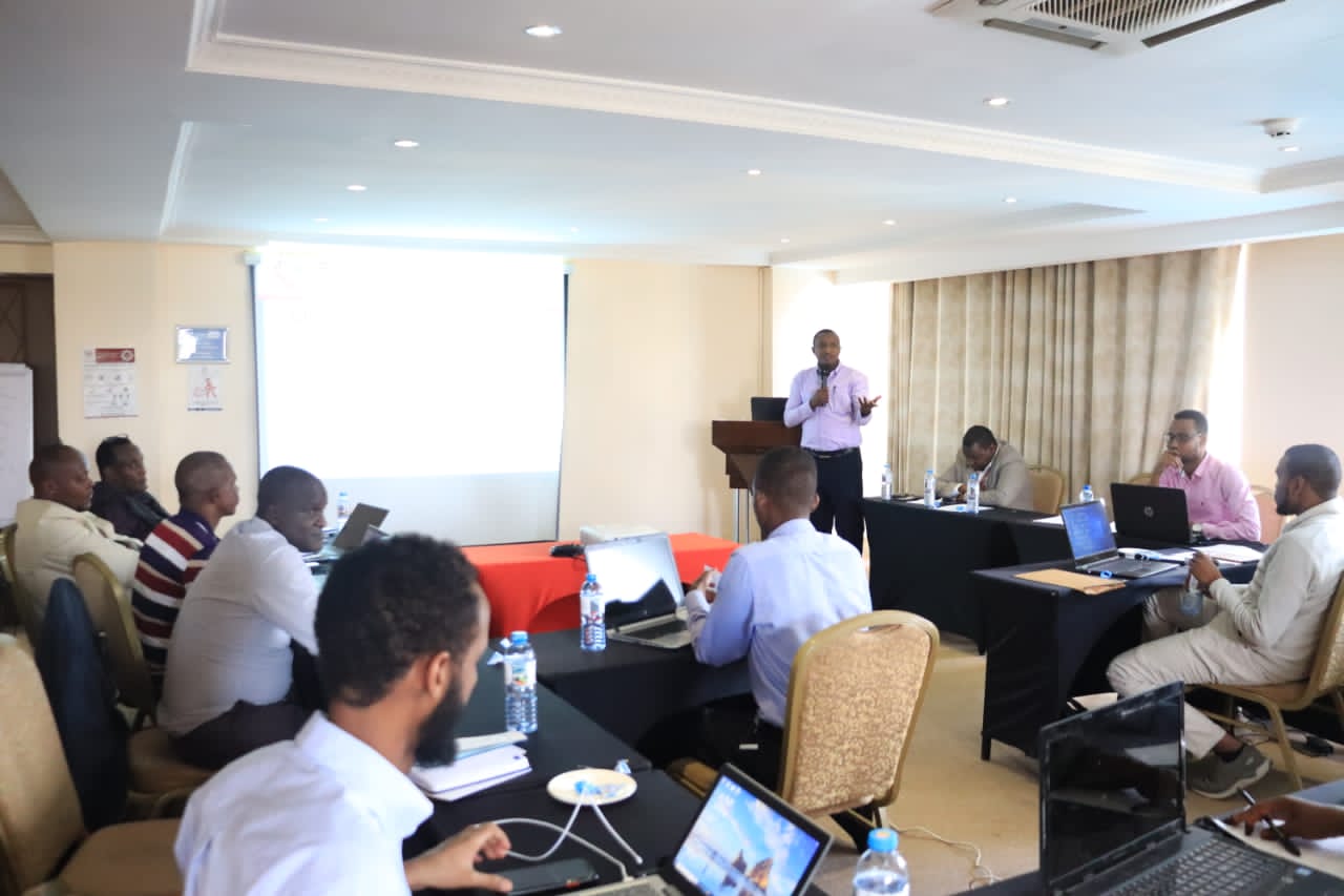 Professional portrait 1